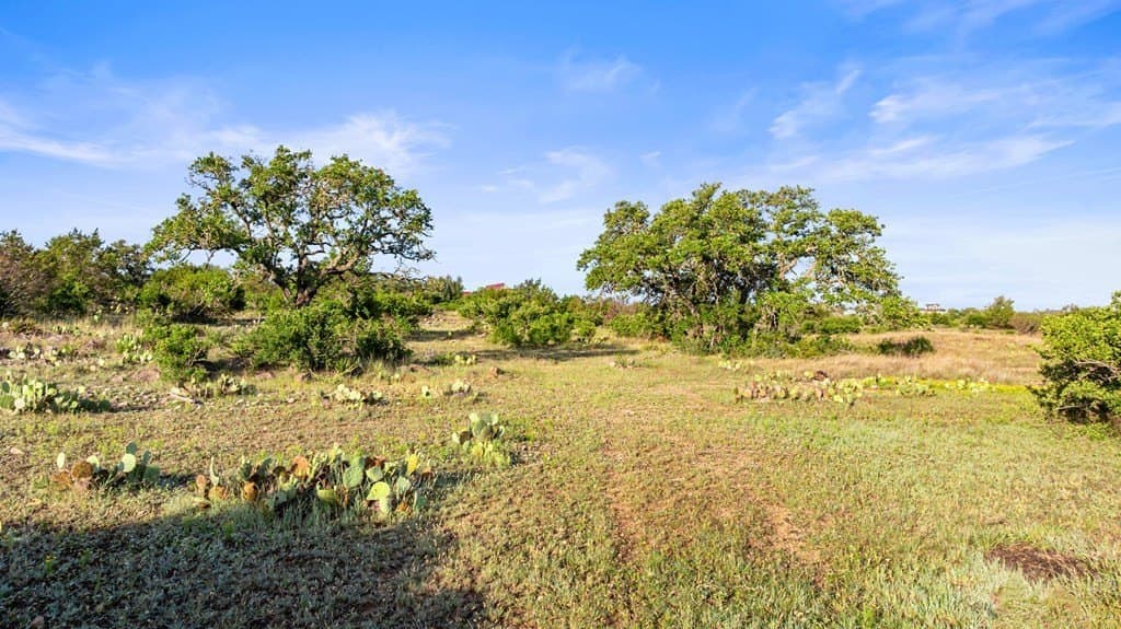 11.01 acres in Blanco County - photo 17