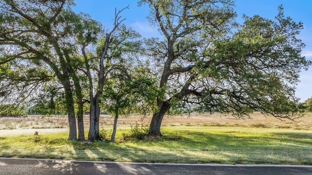11.01 acres in Blanco County - photo 8
