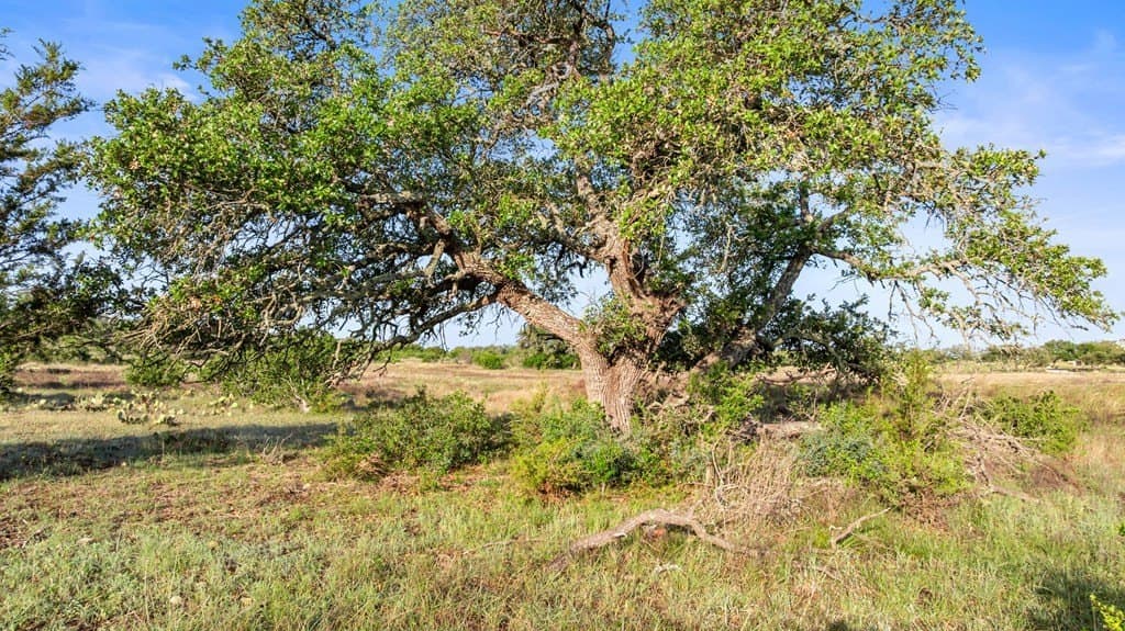 11.01 acres in Blanco County - photo 14