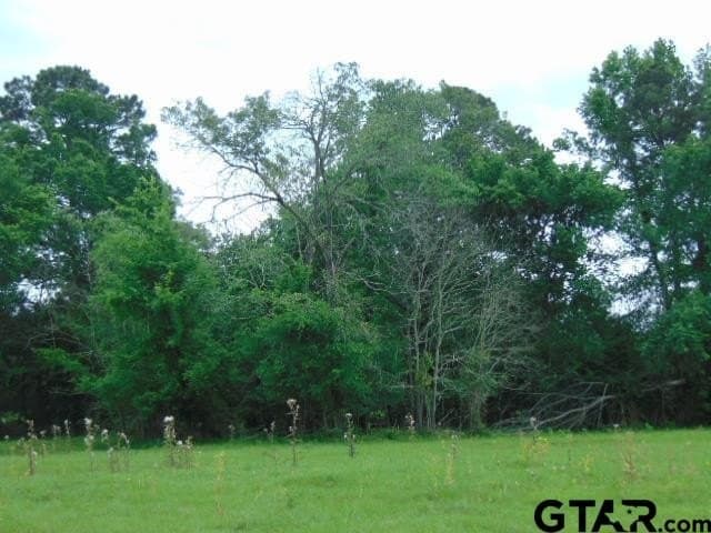 16.57 acres in Cherokee County - photo 13