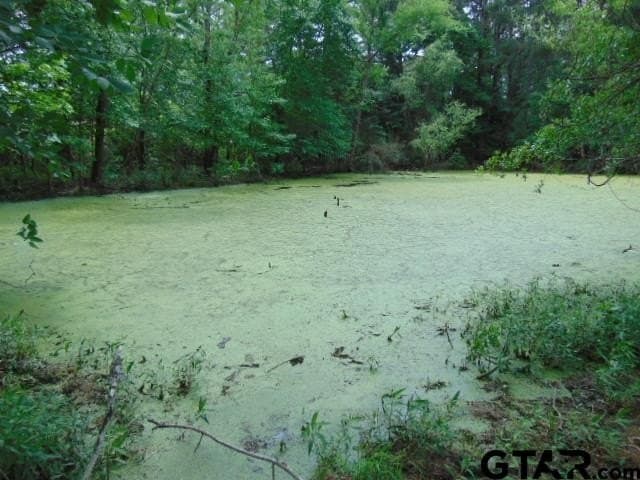 16.57 acres in Cherokee County - photo 6