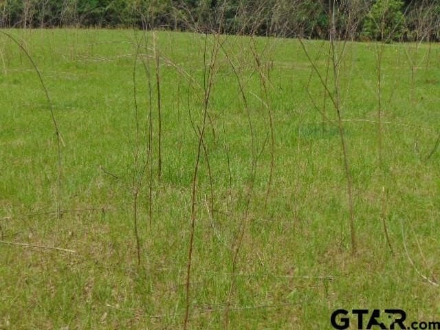 16.57 acres in Cherokee County - photo 20