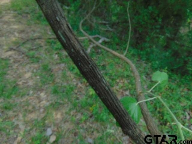 16.57 acres in Cherokee County - photo 26