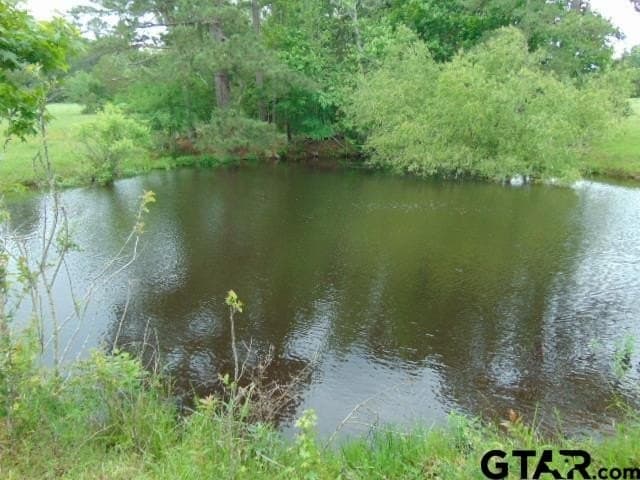 16.57 acres in Cherokee County - photo 7