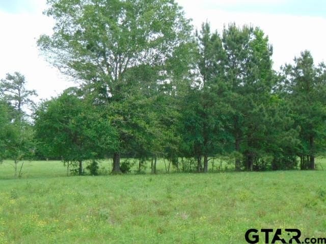 16.57 acres in Cherokee County - photo 25