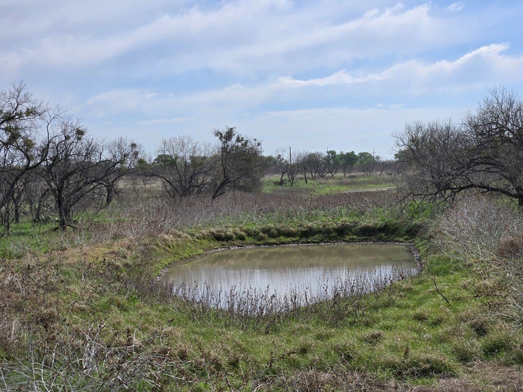 30.28 acres in Menard County - photo 11