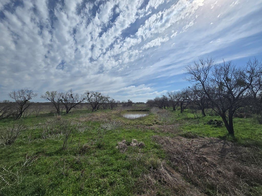 30.28 acres in Menard County - photo 12