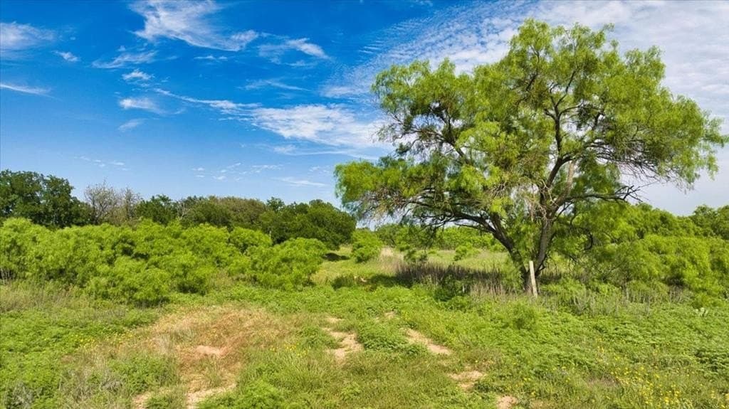 30.28 acres in Menard County - photo 59