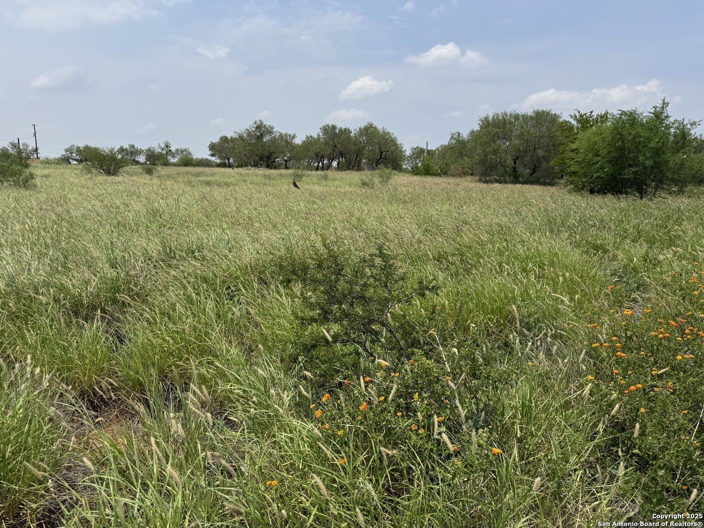 4 acres in La Salle County gallery image 2