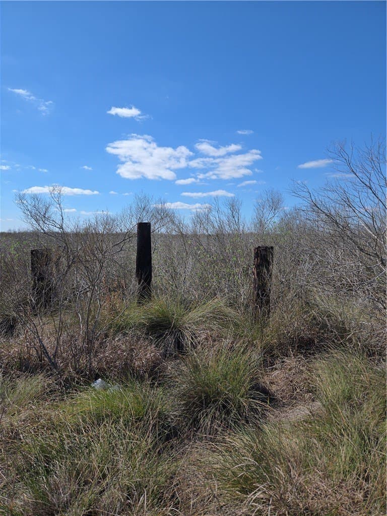 13.15 acres in Calhoun County gallery image 2