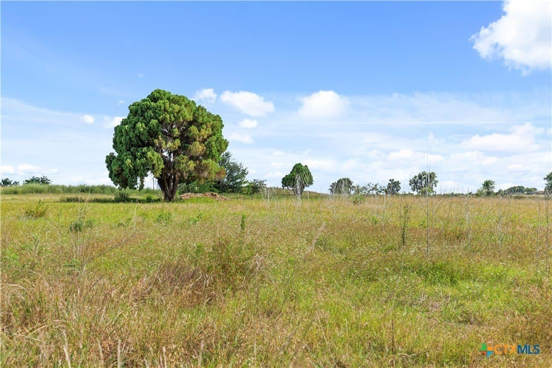 10.01 acres in McLennan County gallery image 3