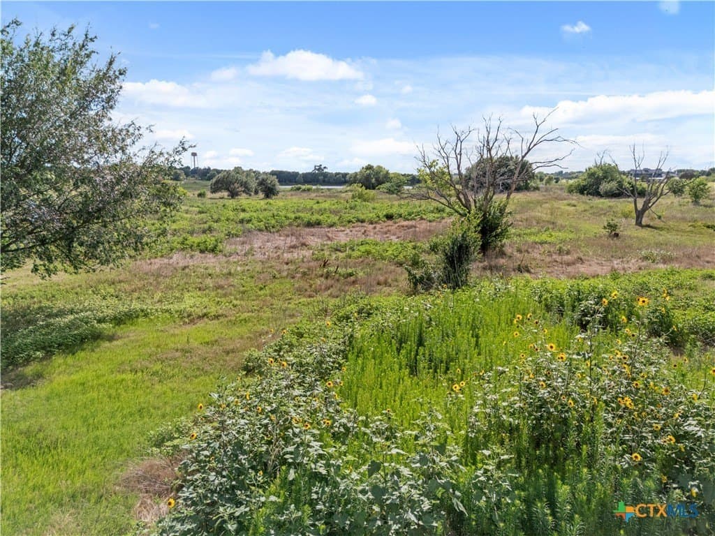 10.01 acres in McLennan County gallery image 4
