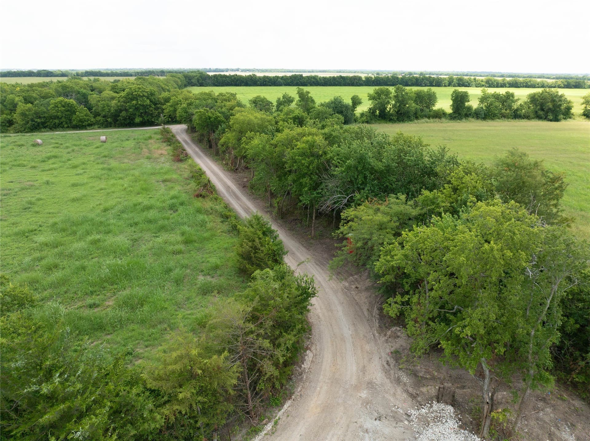 5 acres in Fannin County featured view