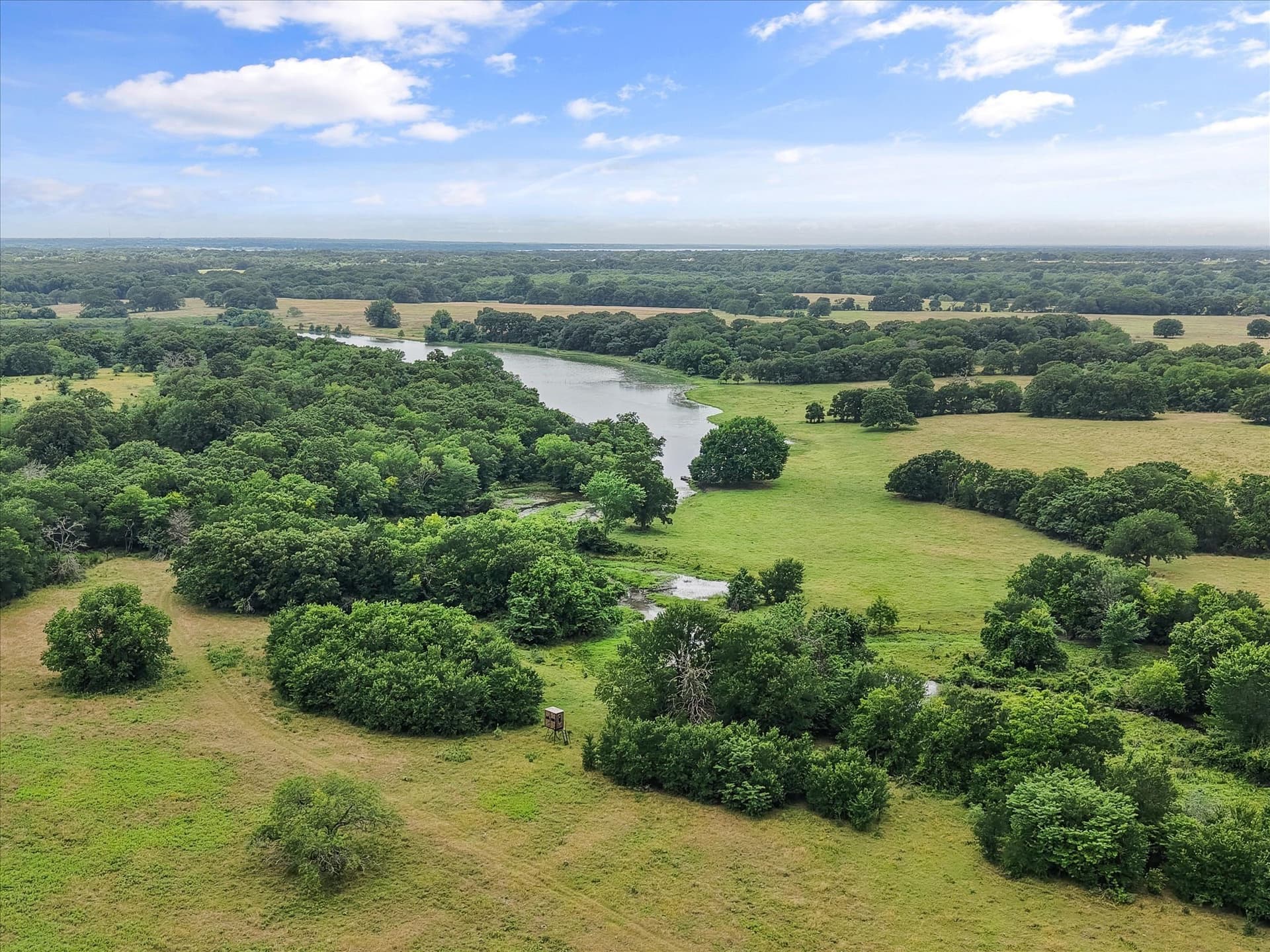 55 acres in Navarro County gallery image 3