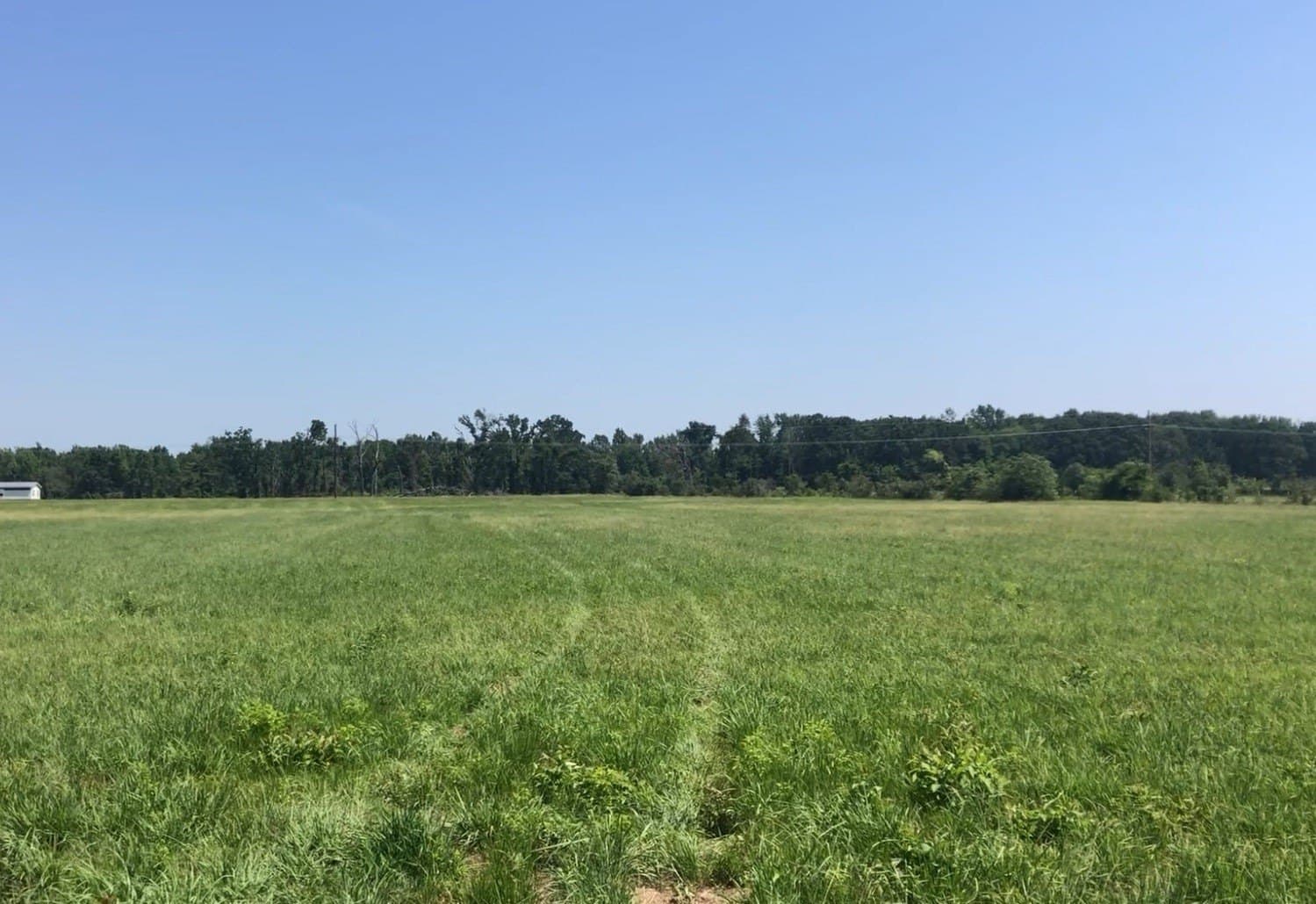 21.71 acres in Titus County - photo 4