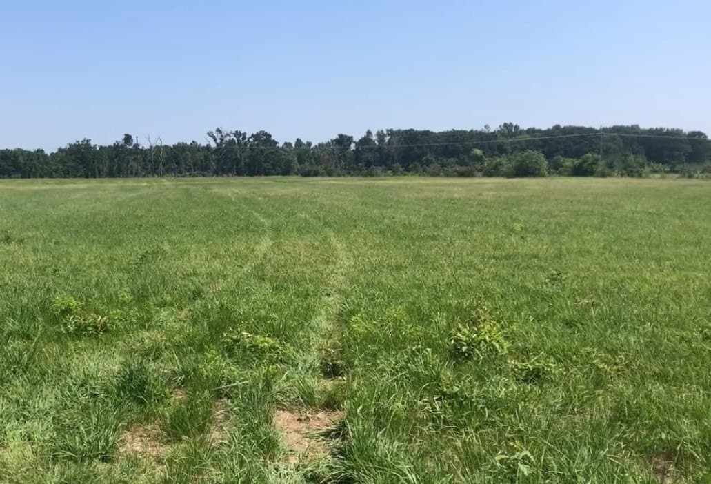 21.71 acres in Titus County - photo 3