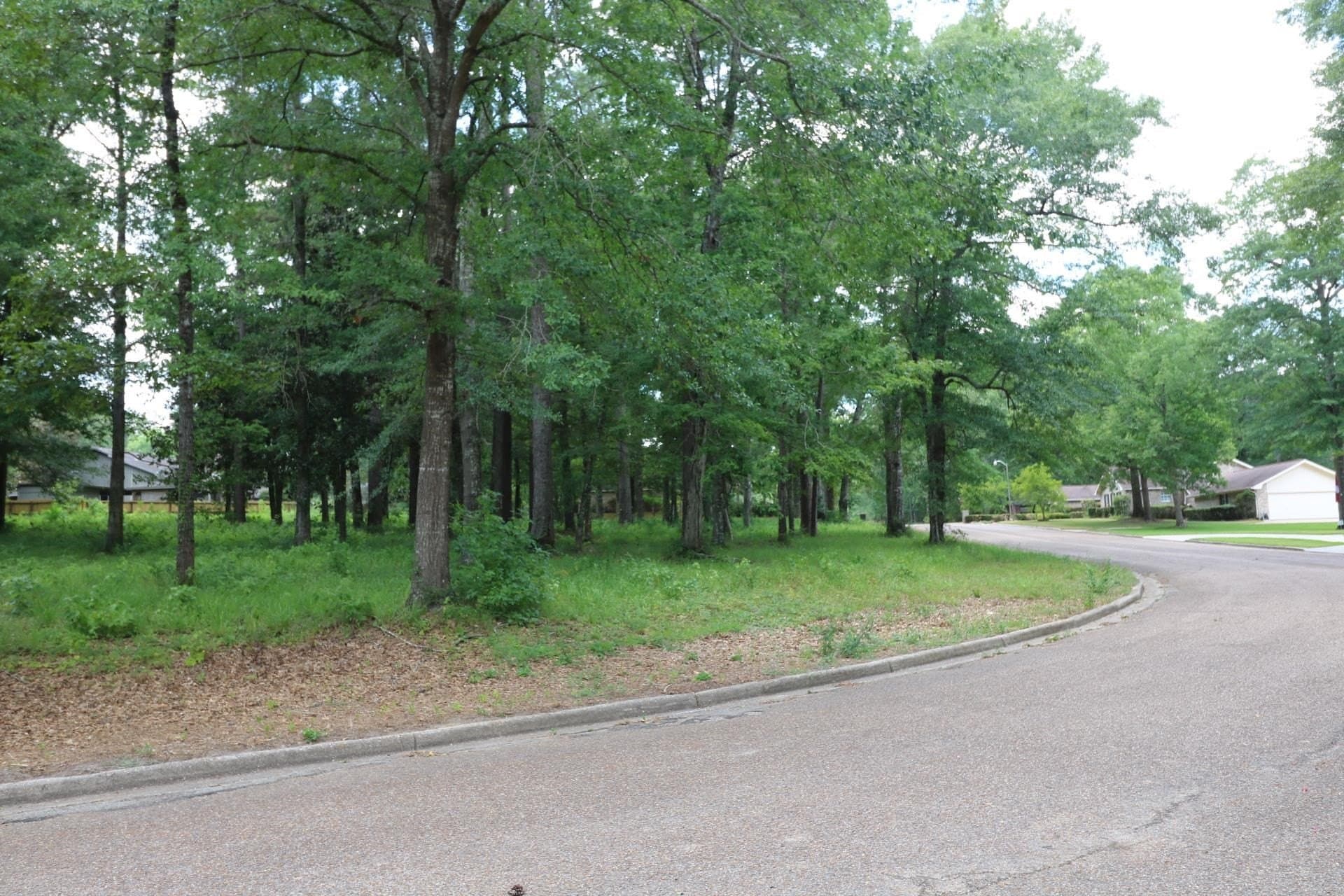 0.54 acres in Texas County