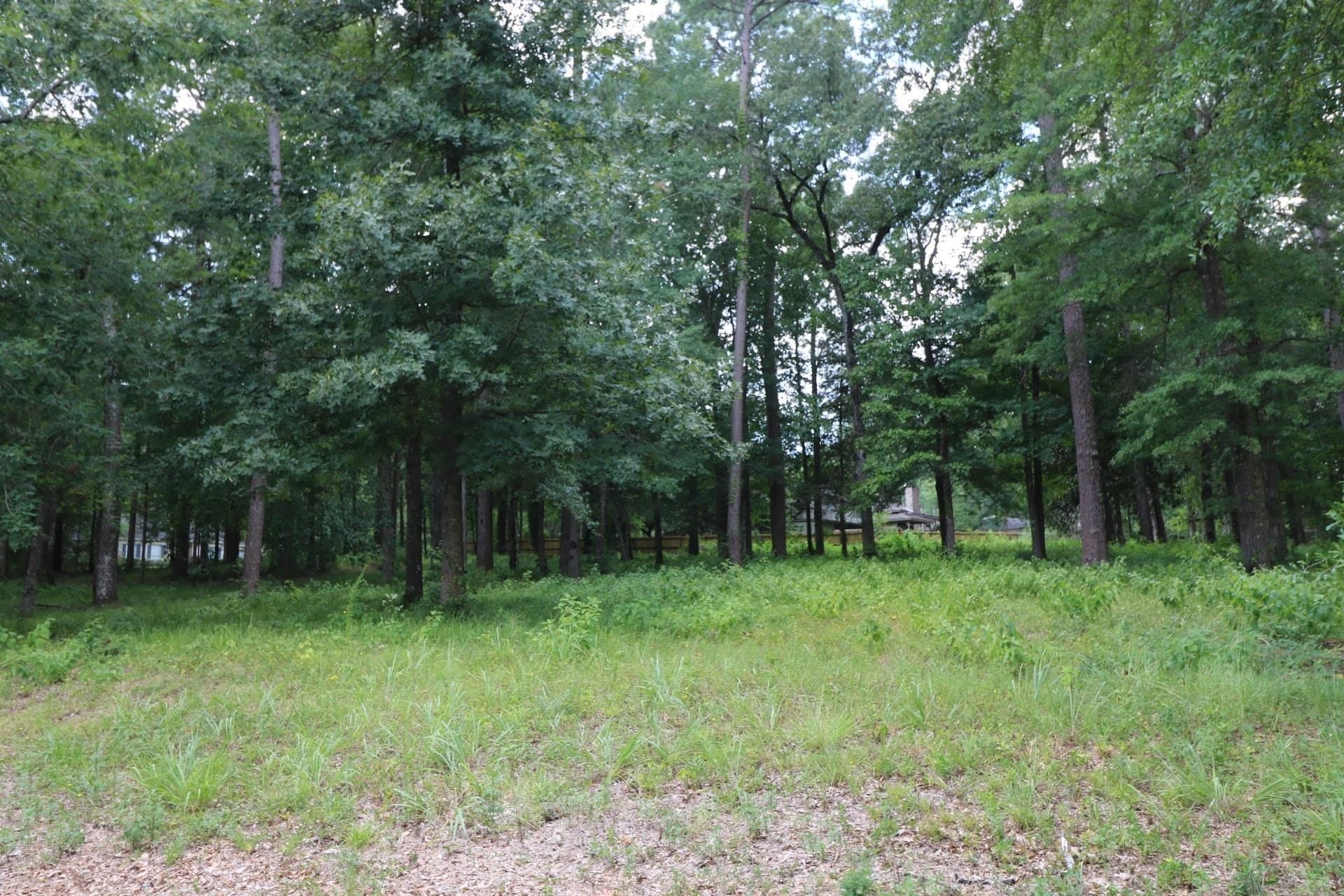 0.54 acres in Texas County - photo 6