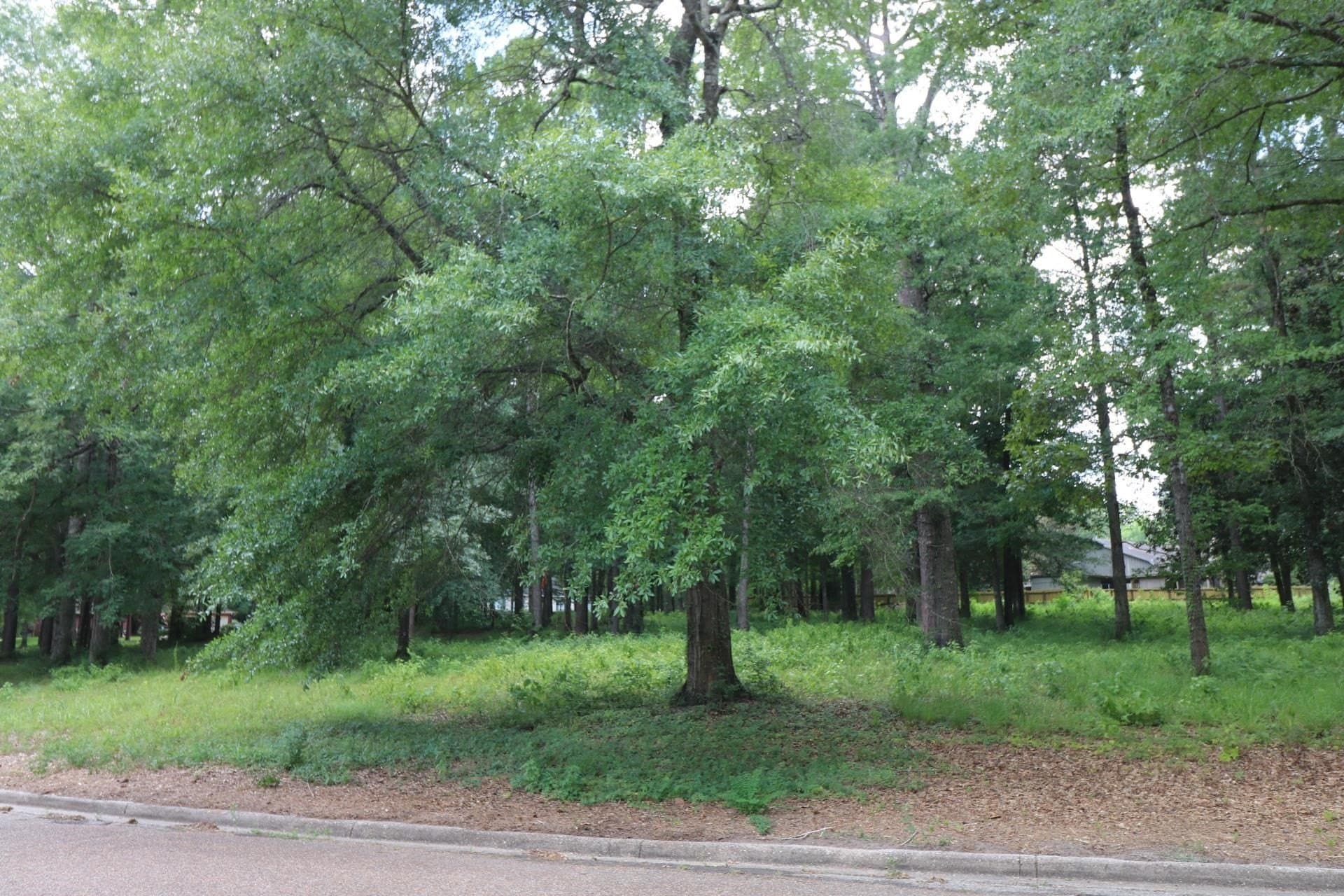 0.54 acres in Texas County - photo 8