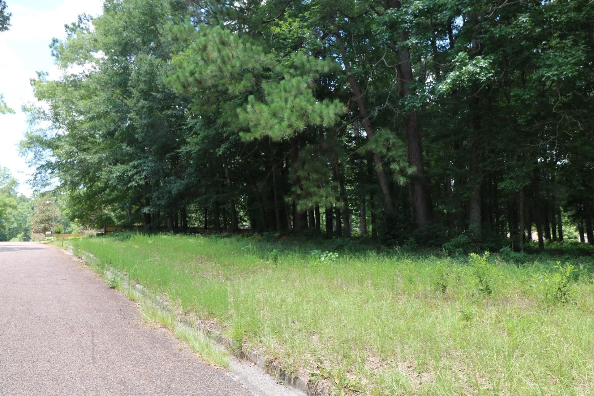 0.54 acres in Texas County - photo 4