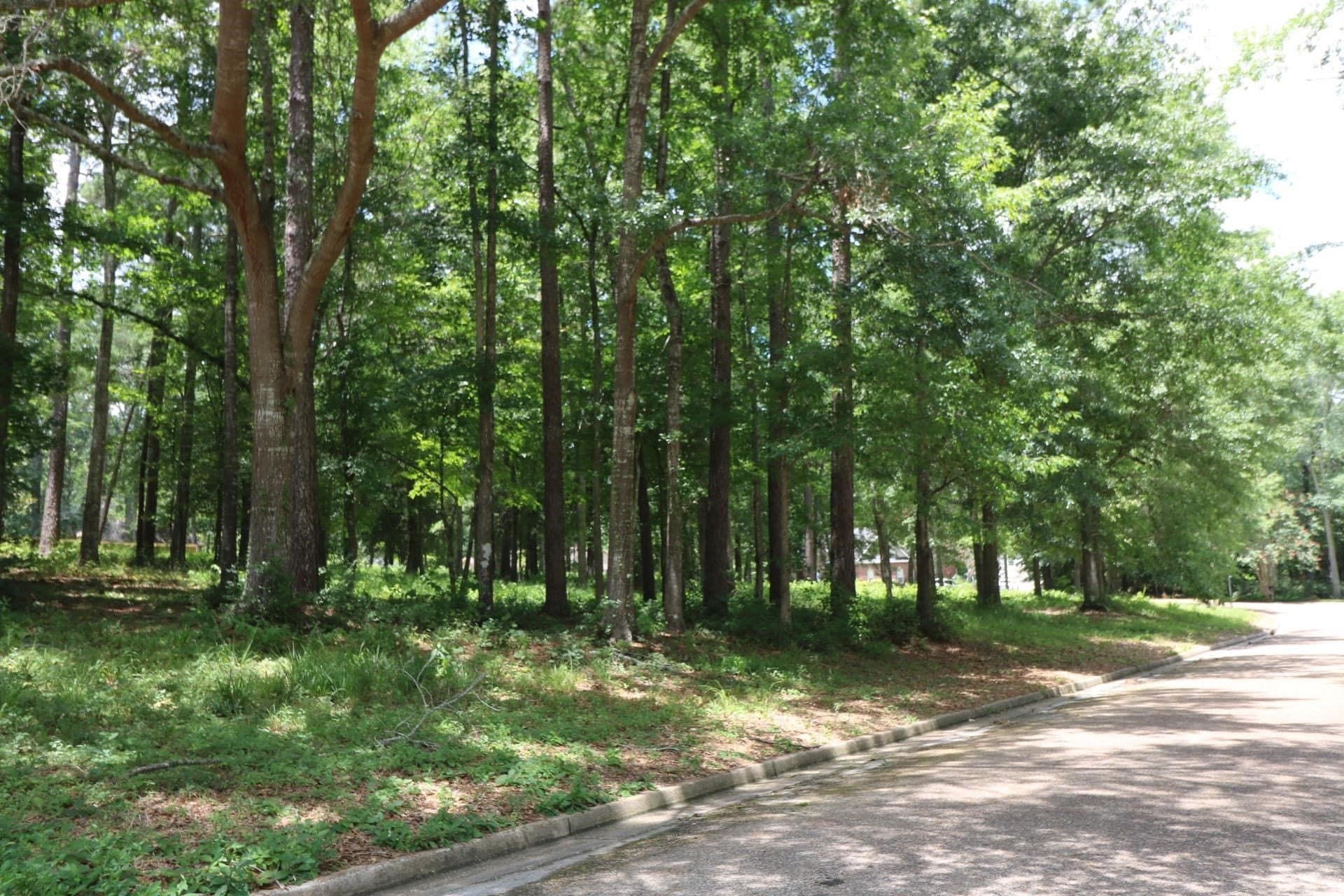 0.54 acres in Texas County - photo 3