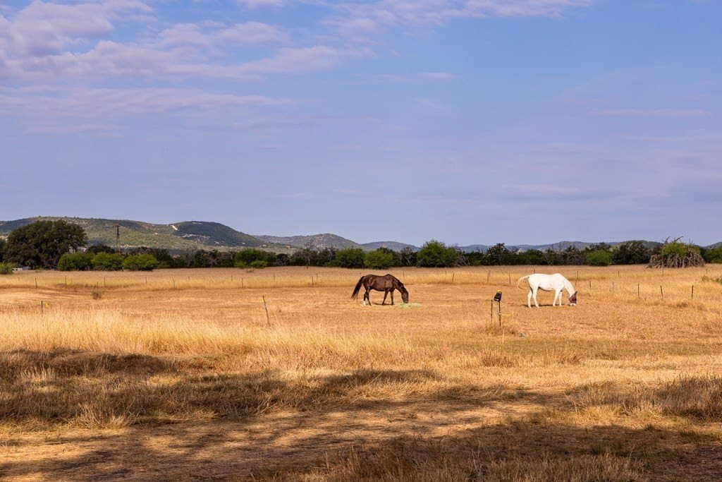 17.65 acres in Bandera County - photo 31