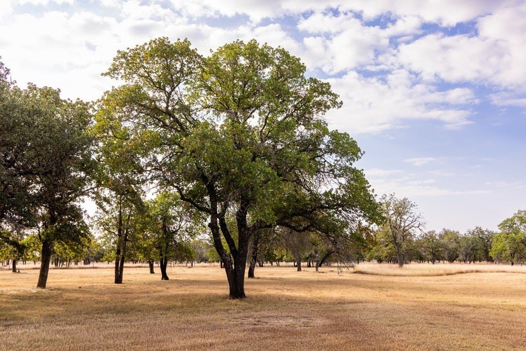 17.65 acres in Bandera County - photo 49