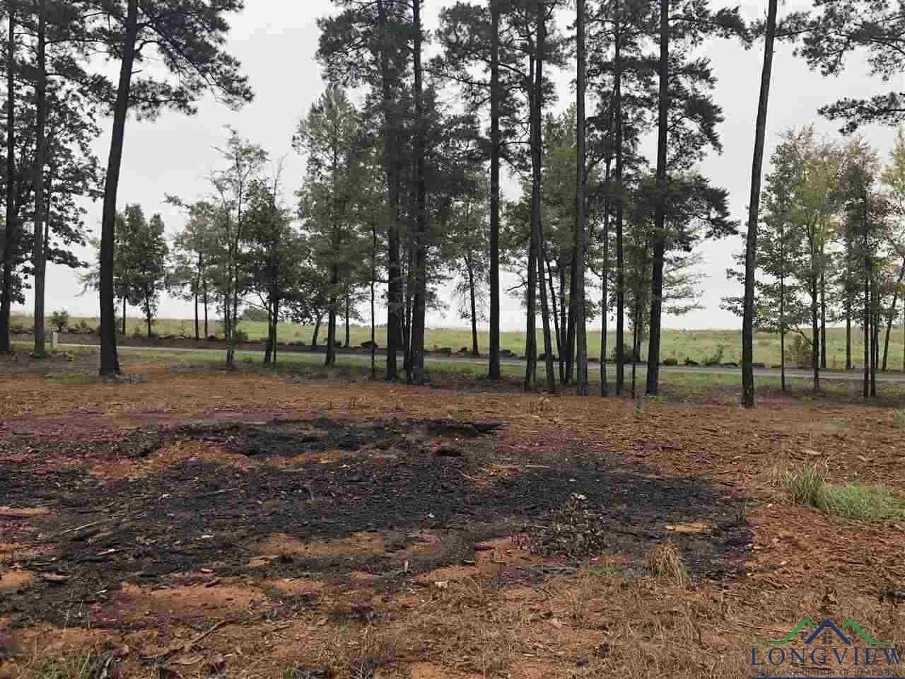 0.7 acres in Texas County gallery image 4