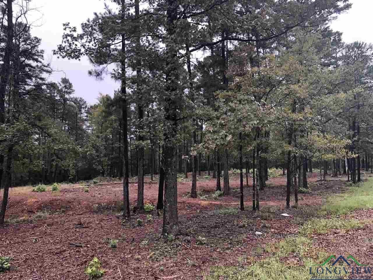 0.7 acres in Texas County gallery image 3