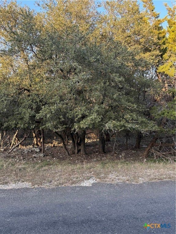 0.34 acres in Bell County featured view