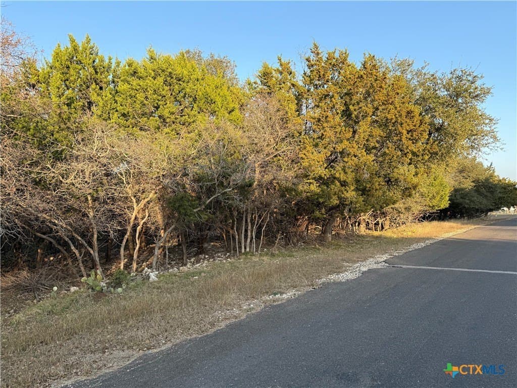 0.34 acres in Bell County gallery image 4