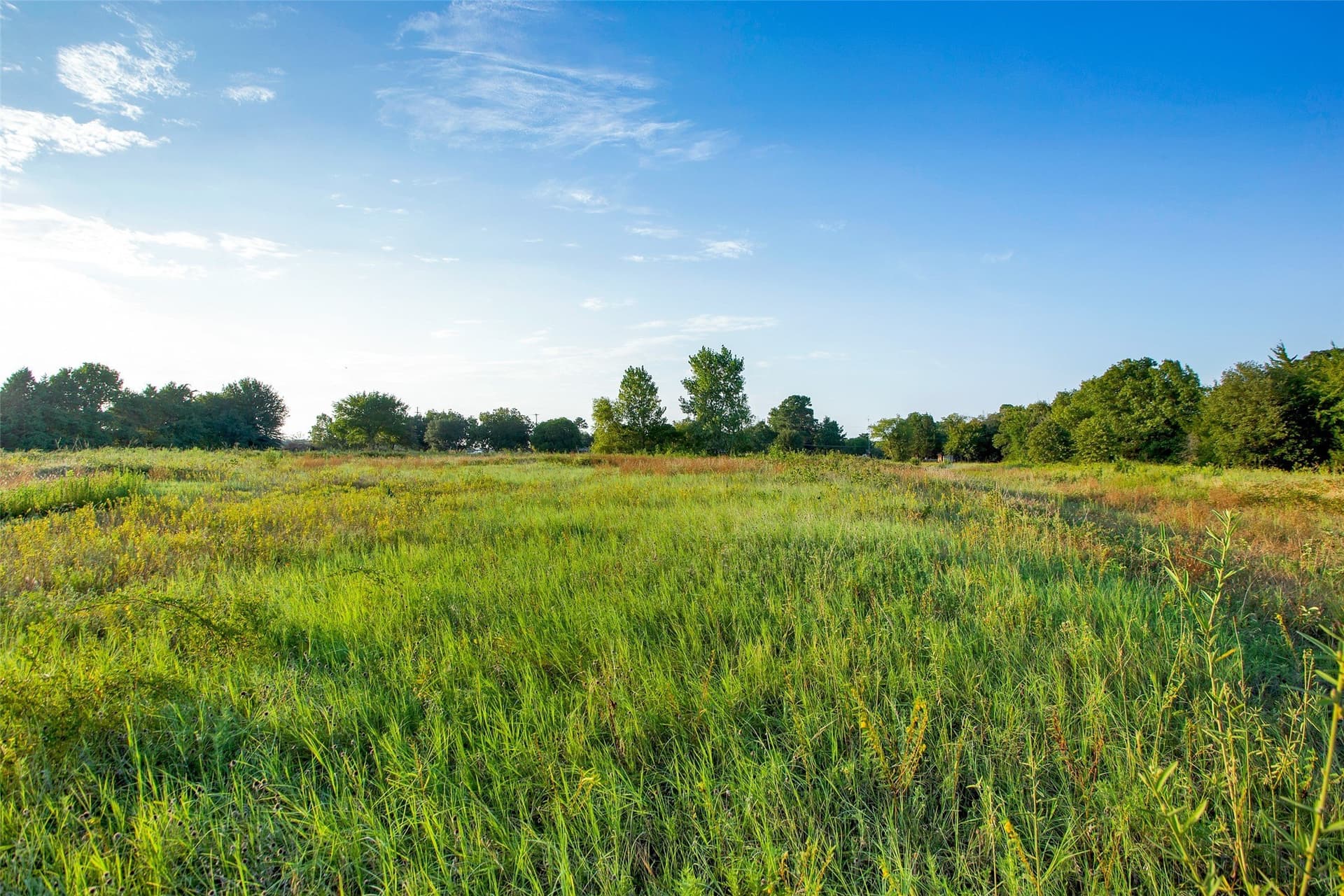 11.88 acres in Grayson County - photo 18
