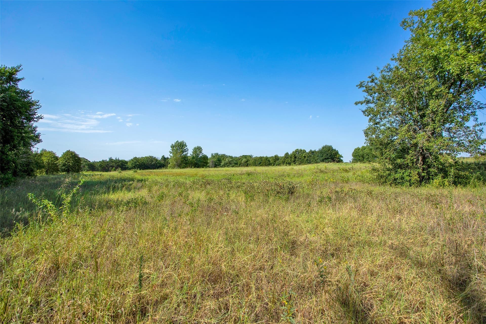 11.88 acres in Grayson County - photo 16