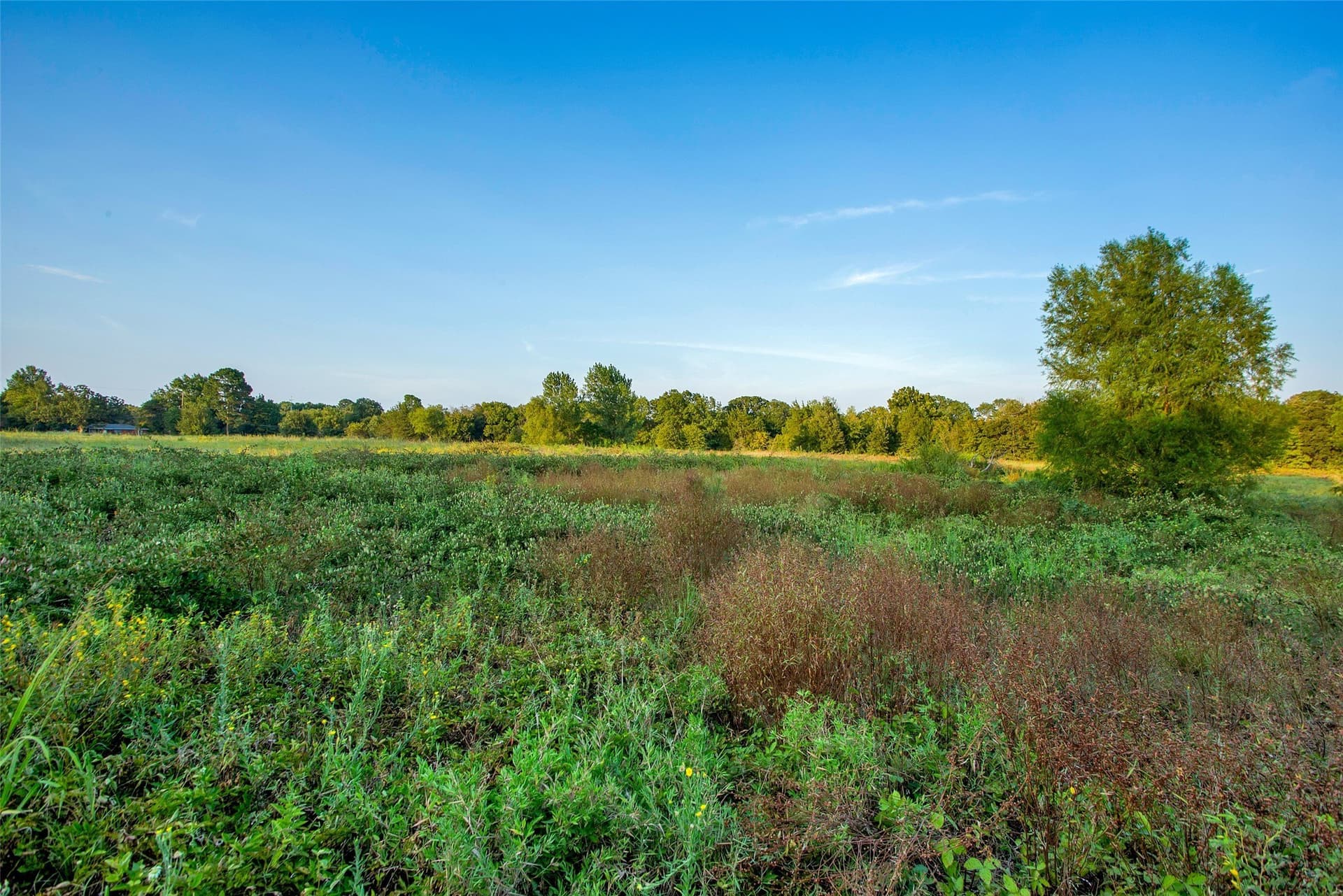 11.88 acres in Grayson County - photo 19