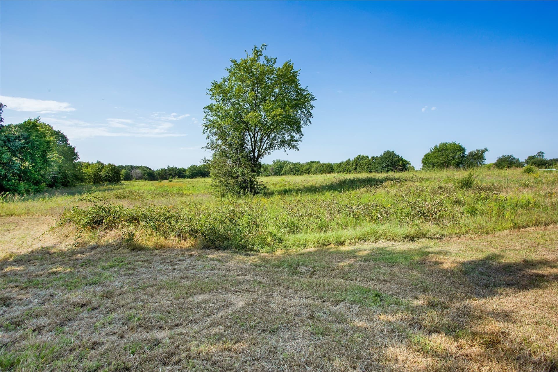 11.88 acres in Grayson County - photo 15