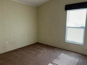 14 acres in Jim Wells County gallery image 4