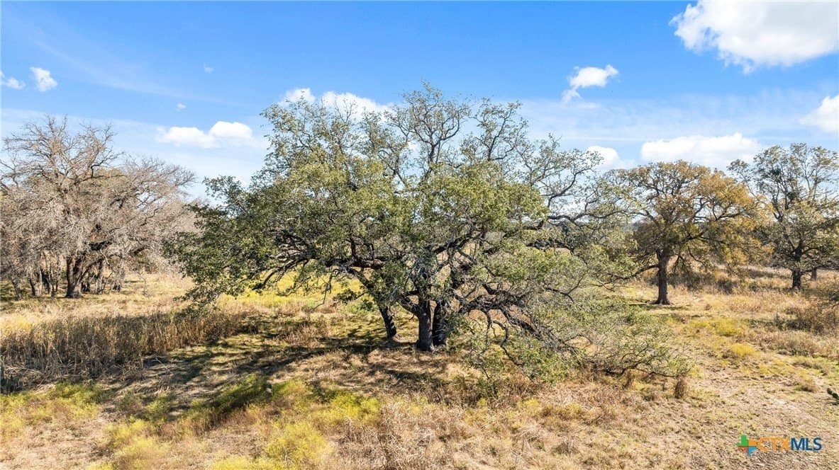 5 acres in Coryell County - photo 8