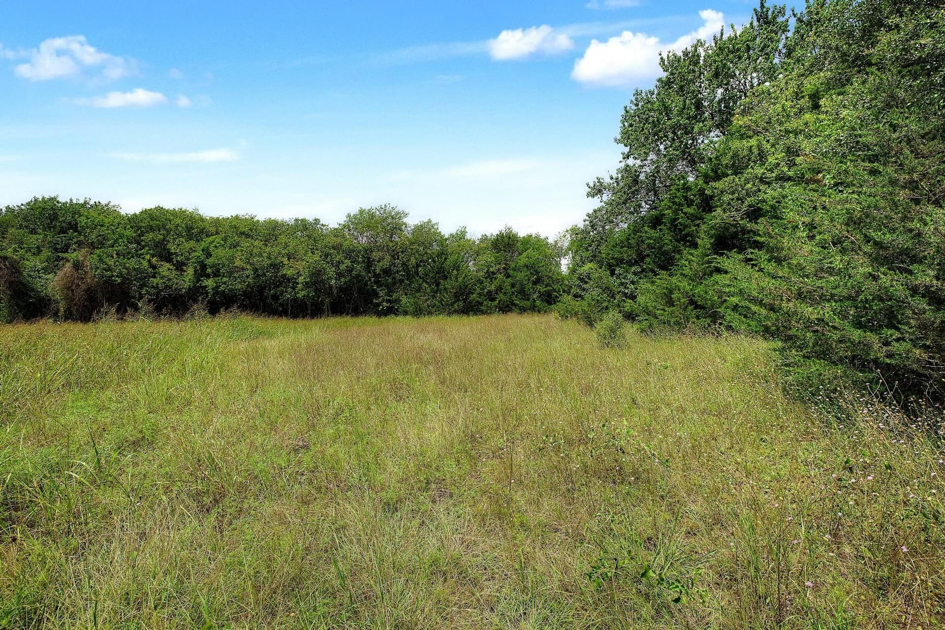 4.64 acres in Fannin County - photo 9