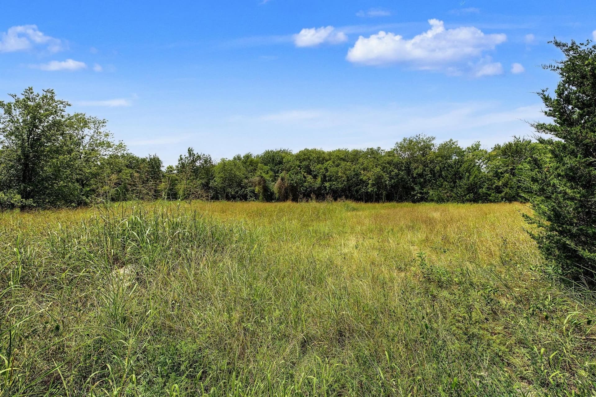 4.64 acres in Fannin County gallery image 4