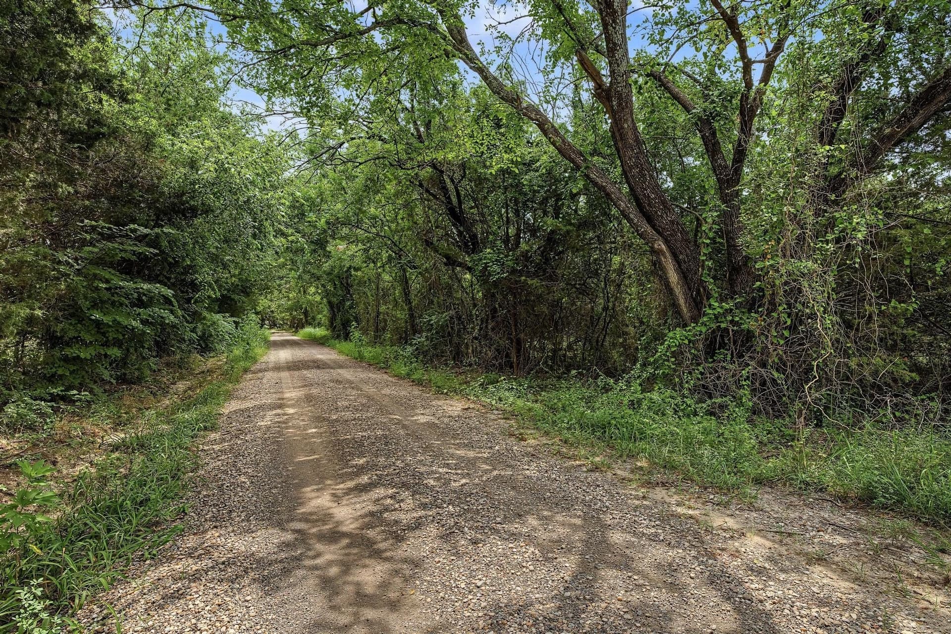 4.64 acres in Fannin County - photo 8