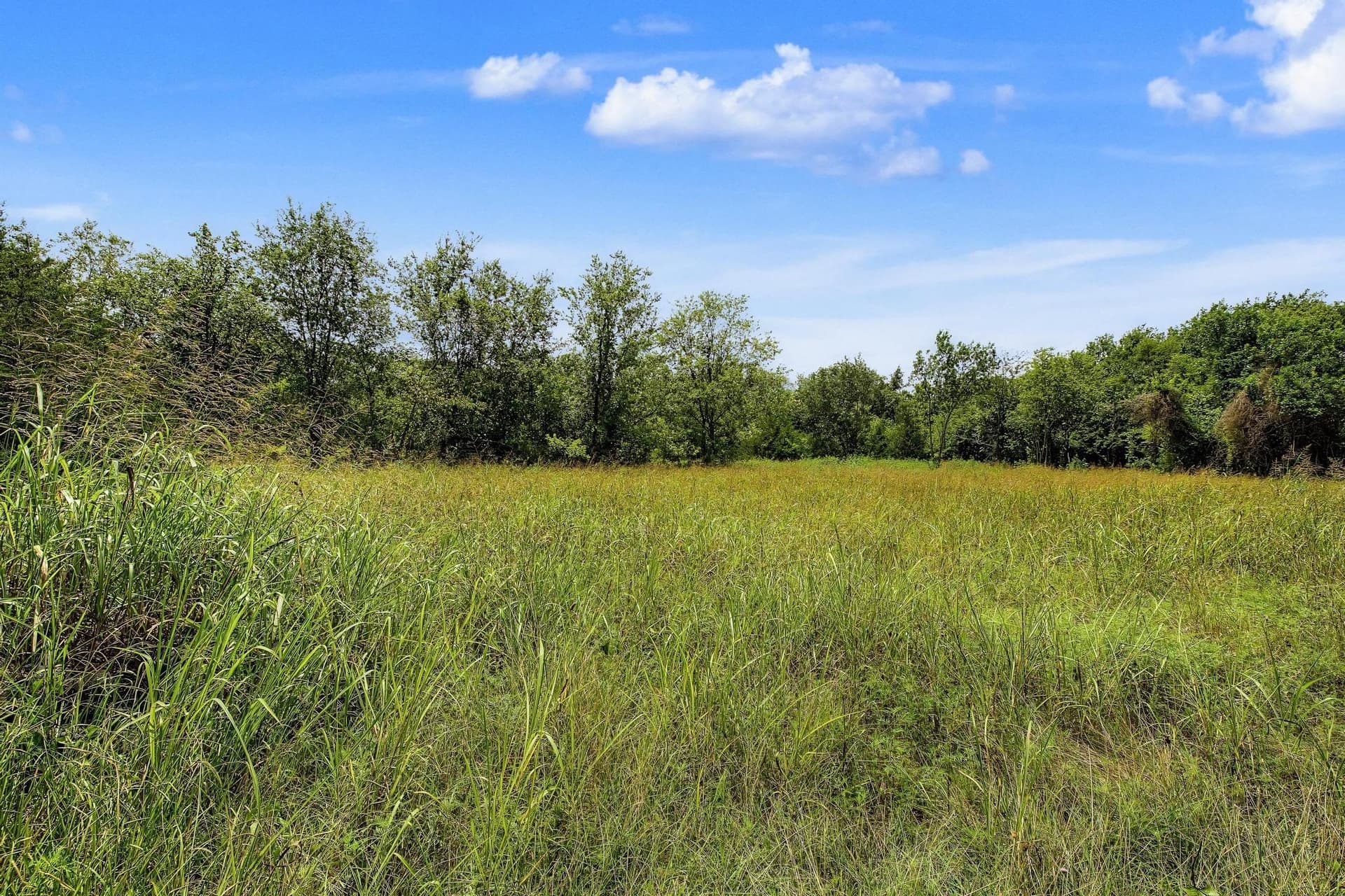 4.64 acres in Fannin County - photo 10