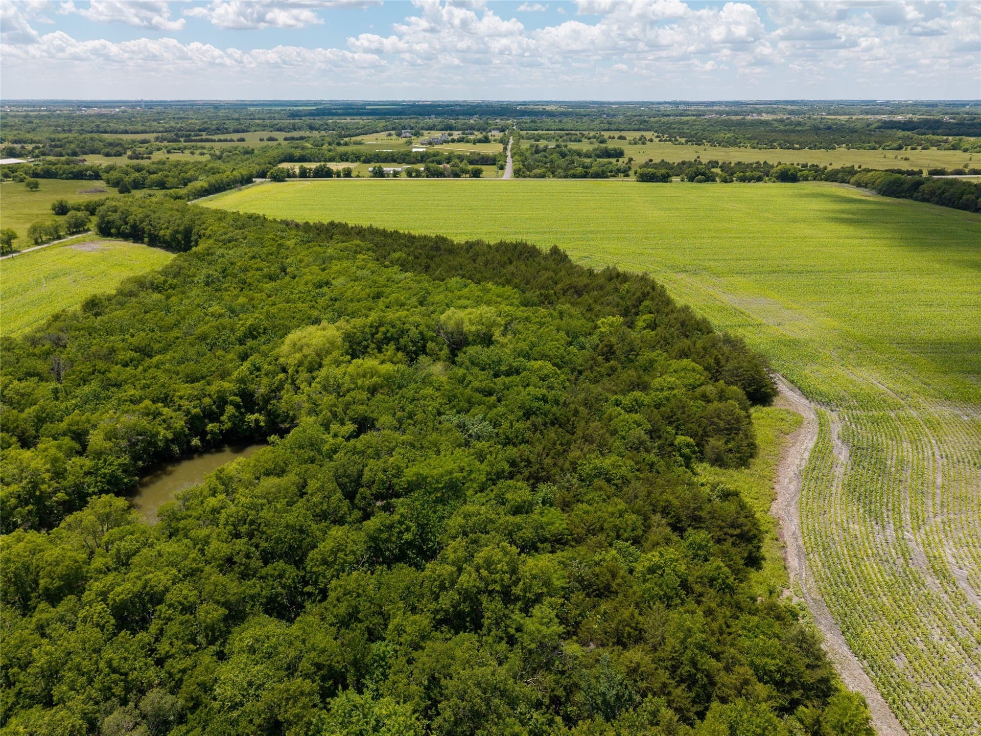 100 acres in Hunt County - photo 15