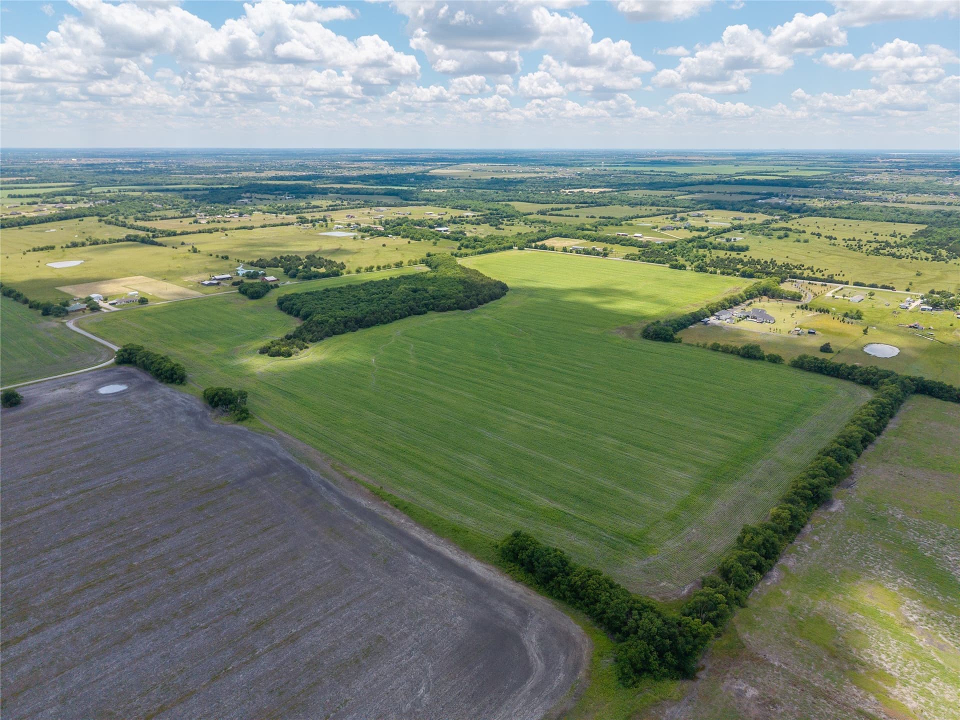 100 acres in Hunt County gallery image 4