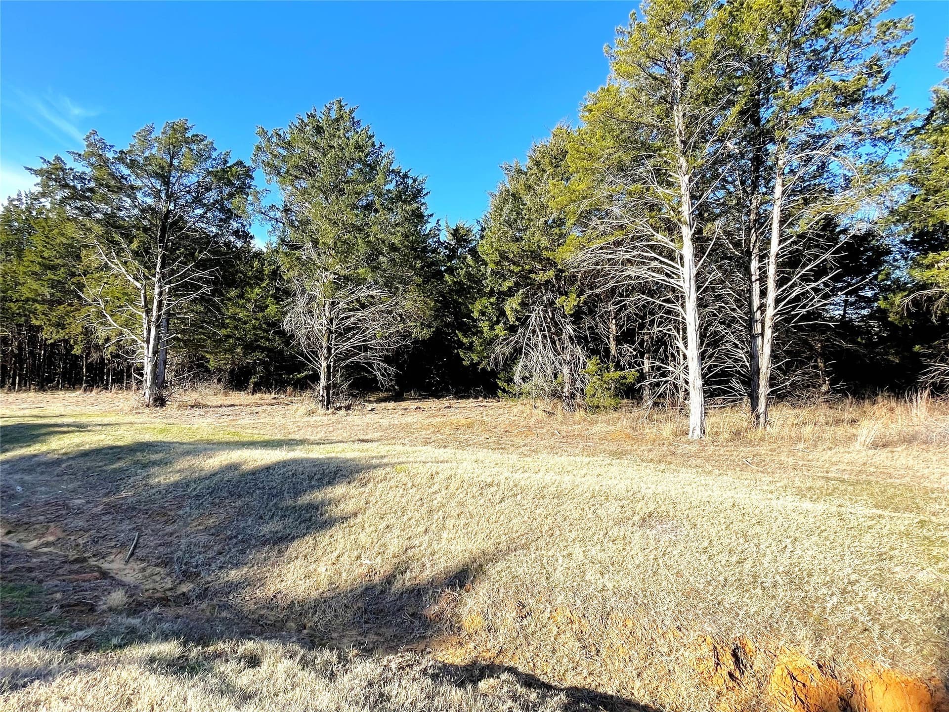 0.23 acres in Grayson County gallery image 4