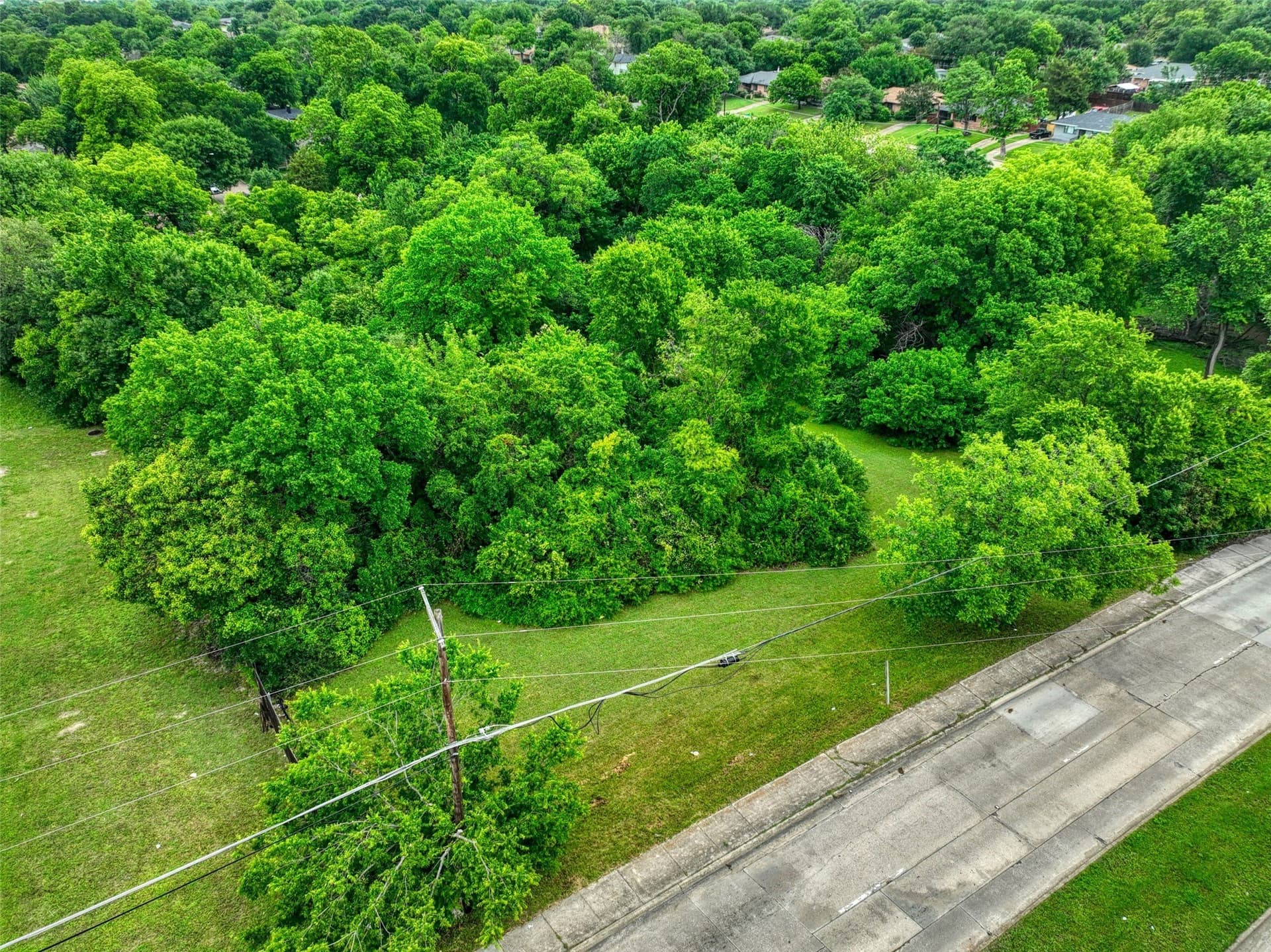 1.18 acres in Dallas County - photo 5
