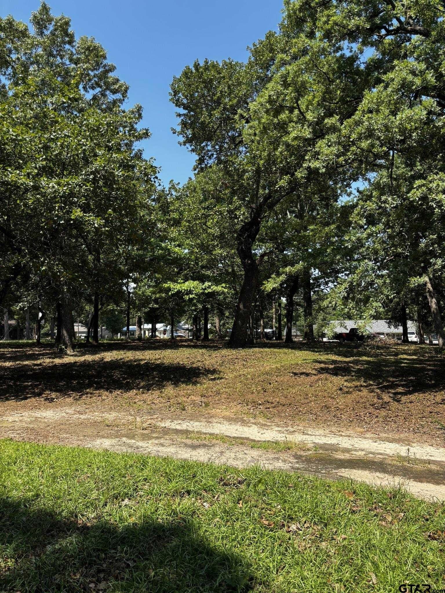 0.45 acres in Smith County gallery image 2