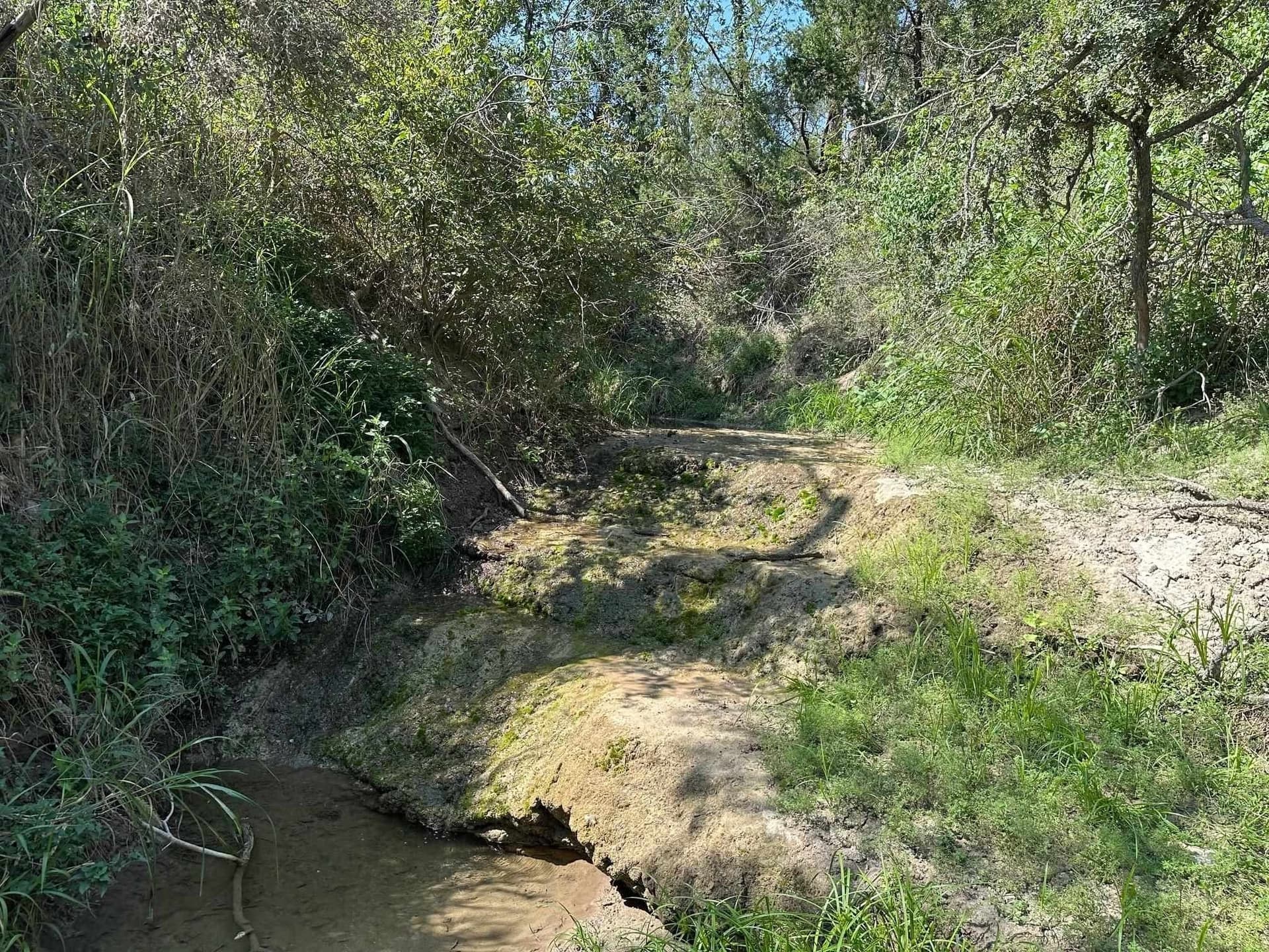 17 acres in Burnet County - photo 6