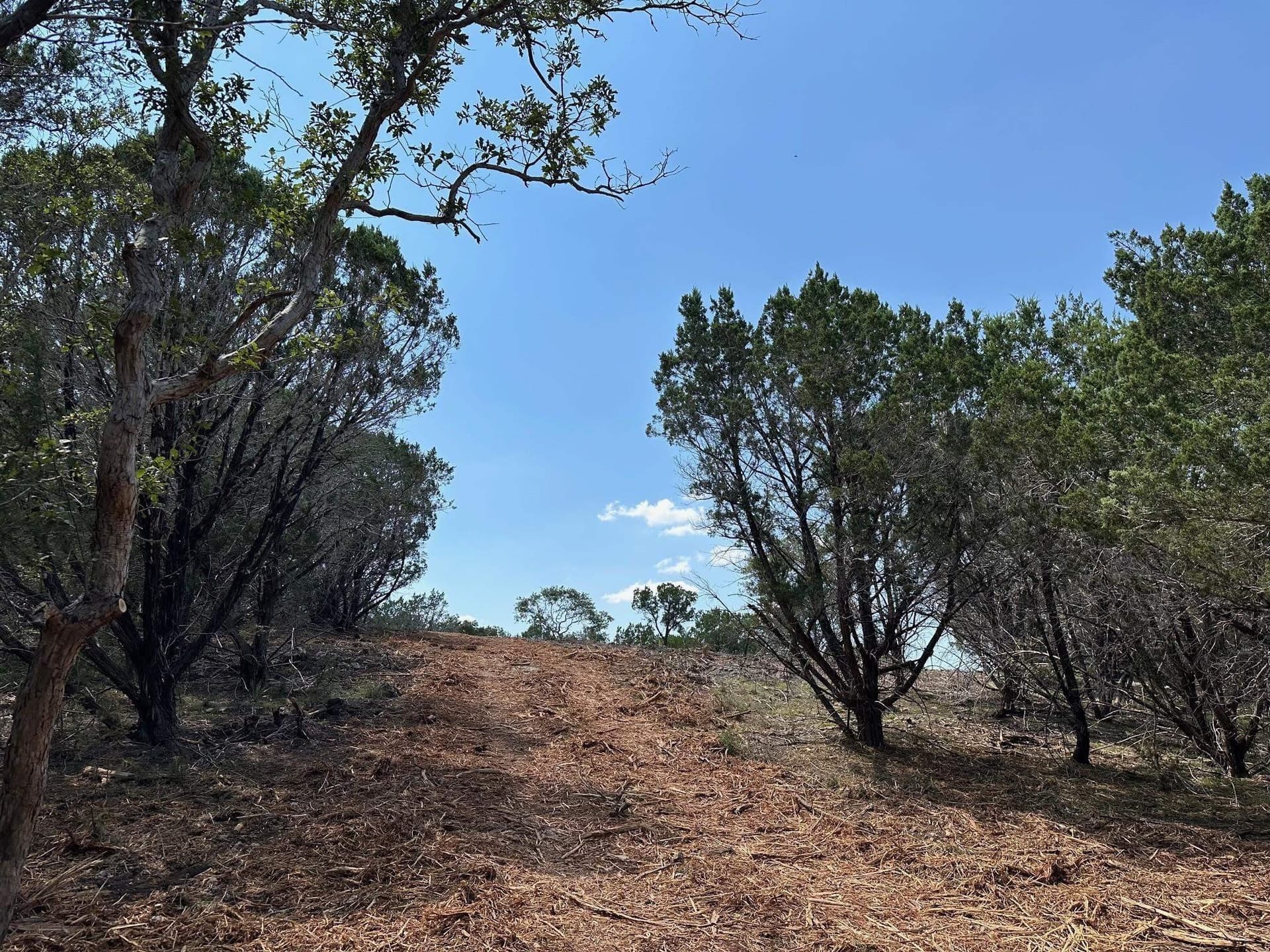 17 acres in Burnet County - photo 9
