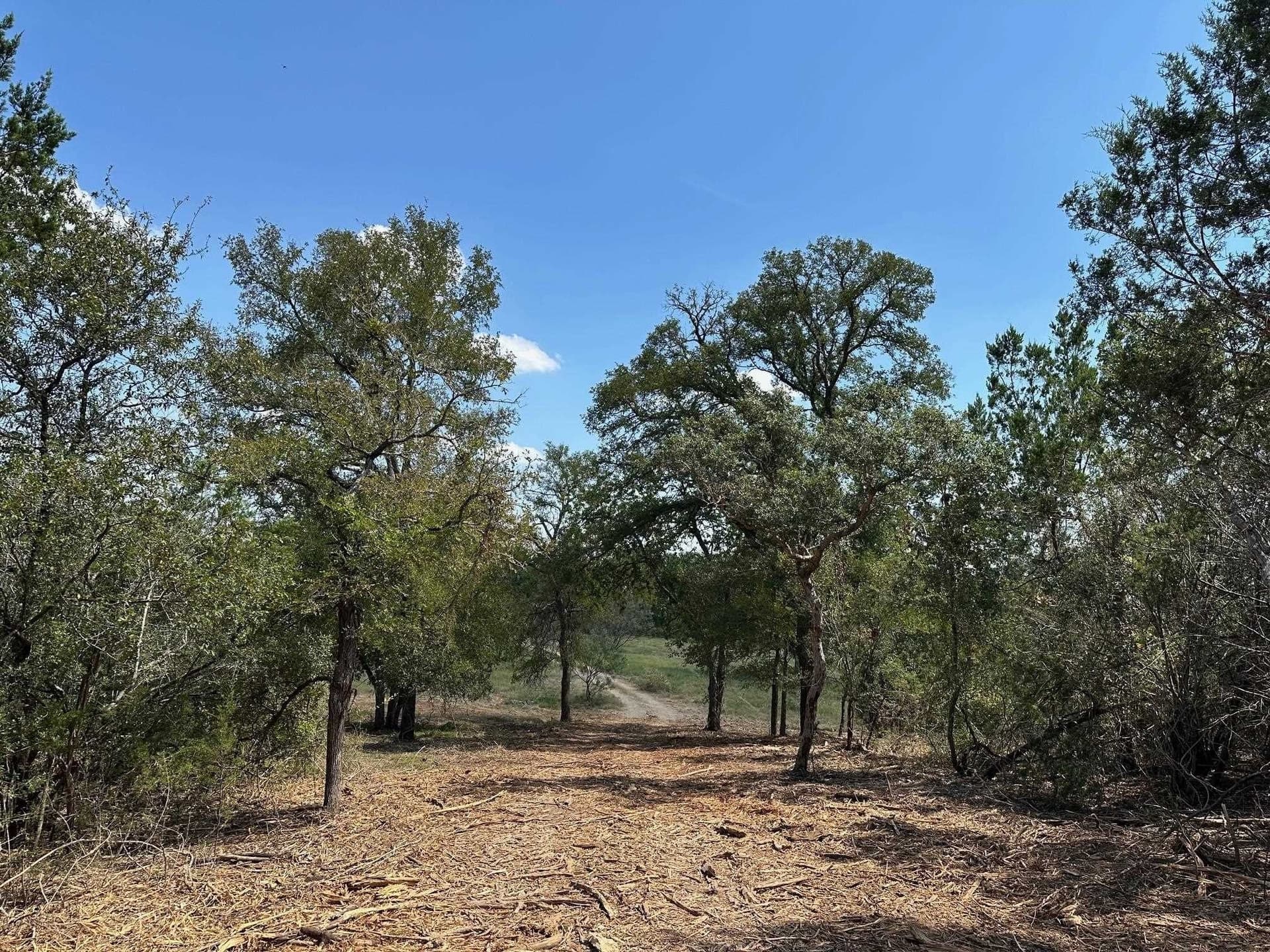 17 acres in Burnet County - photo 8