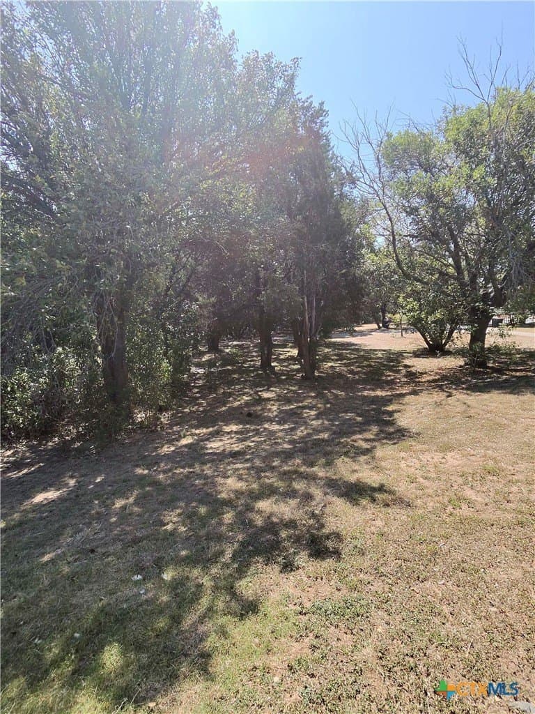 10 acres in Bell County - photo 31